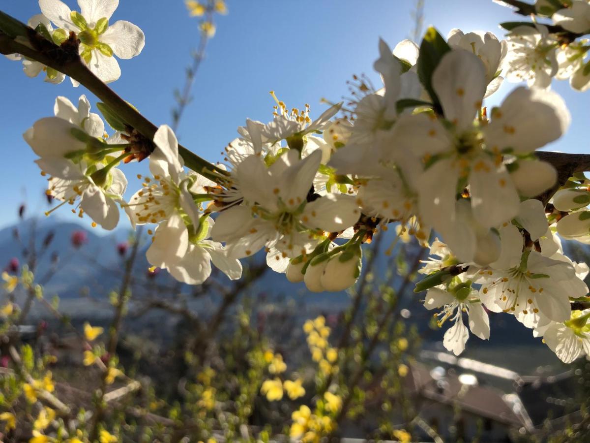 Garni Nunnemairhof Hotel Schenna Bagian luar foto